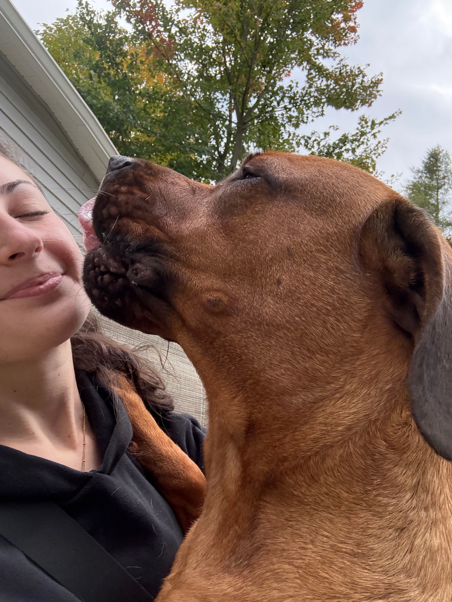 Ally getting a sweet kiss from a happy boxer in the backyard