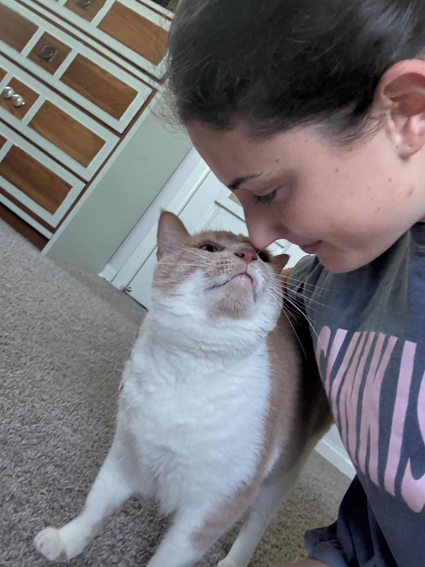 Ally nose-to-nose with a sweet orange and white tabby cat