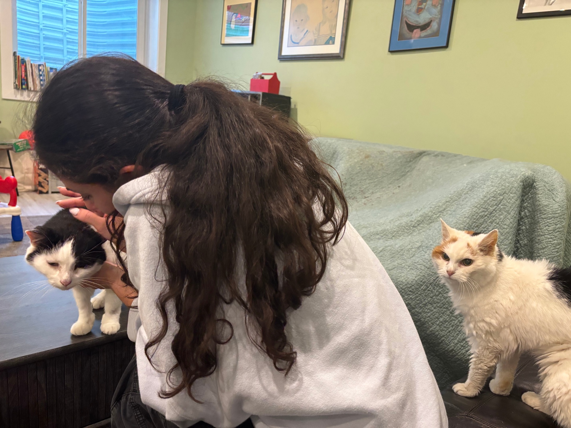 Ally giving love to two cats lounging on the couch